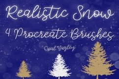 Snow Procreate Brushes / Winter/ Christmas Product Image 1