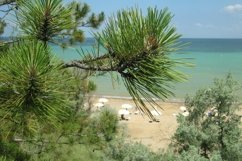 SET Shows foam of sea wave, wildlife pond Product Image 22