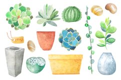 Watercolor Succulents Collection Product Image 4