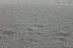 Grayscale shot of the sandy beach Product Image 1