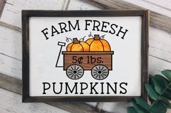 Farm Fresh Pumpkins SVG DXF PNG Product Image 1