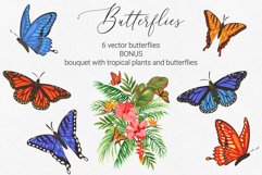 Tropical butterflies Product Image 4