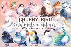 Chubby Bird Watercolor Sublimation Clipart Product Image 1