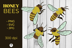 4 Chalky Texture Honey Bee Illustrations SVG Product Image 1