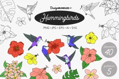 Hummingbirds and Tropical Flowers SVG Clipart & Patterns Product Image 1