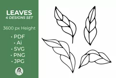 Floral Motif with Bird SVG | Monochrome Line Art Flowers Product Image 1