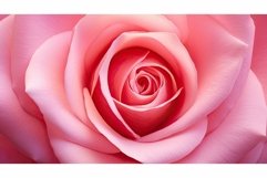 vibrant candidate pink Product Image 1