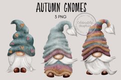 Autumn Gnomes Product Image 1
