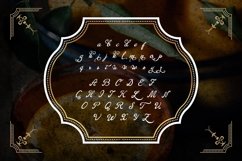 Web Font Orange Brandy Product Image 3