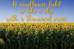 Web Font Adrielle - A Hand-Written Script Font Product Image 7