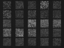 100 WINTER SNOW TRANSPARENT PNG FILES, PHOTOSHOP OVERLAYS Product Image 7