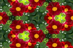 12 abstract Seamless colorful FLOWER patterns pack. Product Image 4