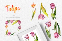 Tulips for Love Watercolor png Product Image 5