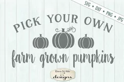 Pick Your Own Farm Grown Pumpkins SVG DXF Files Product Image 2