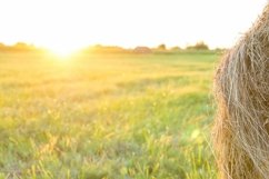Sheaf of hay on the field at sunset Product Image 1