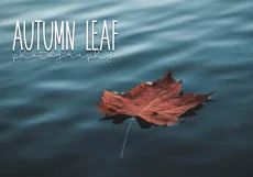 November - A Tall Handwritten Font - Free Font of The Week Product Image 8