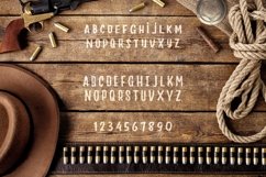 Web Font Django Product Image 2