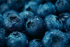 Freshly washed blueberries covered with water droplets Product Image 1
