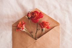 Rose flowers in envelope Product Image 1