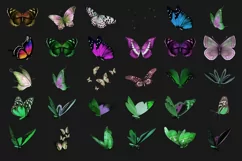 200 BUTTERFLIES TRANSPARENT PNG FILES, PHOTOSHOP OVERLAYS Product Image 12