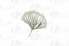 Cotton bolls and fir branch leafy autumn and winter decor Product Image 13