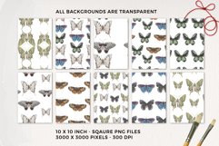 Butterfly Watercolor Seamless Patterns Watercolor Insect Product Image 2