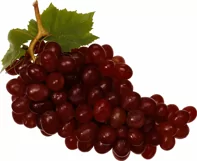 100 FRUITS TRANSPARENT PNG FILES, PHOTOSHOP OVERLAYS Product Image 12