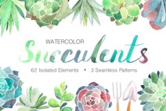 Watercolor Succulents Collection Product Image 1