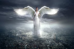 30 ANGEL WINGS TRANSPARENT PNG FILES, PHOTOSHOP OVERLAYS Product Image 5