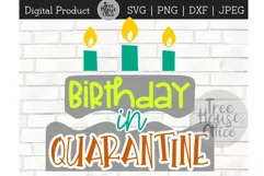 Birthday Social Distancing Quarantine Bday SVG PNG JPEG DXF Product Image 1