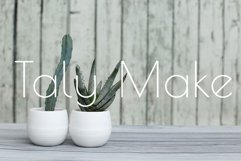 Succulents Product Image 1