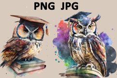 Graduation Owl Watercolor Sublimation Clipart JPG PNG Product Image 1