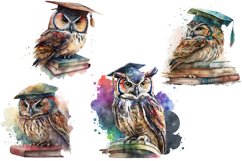 Graduation Owl Watercolor Sublimation Clipart JPG PNG Product Image 2