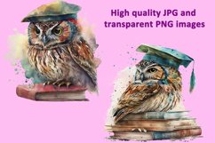 Graduation Owl Watercolor Sublimation Clipart JPG PNG Product Image 3
