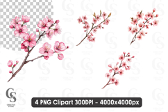 Pink Cherry Blossom Branch Watercolor Floral Clipart Product Image 1