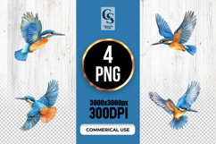 Flying Kingfisher Bird Illustration Clipart Sublimation PNG Product Image 1