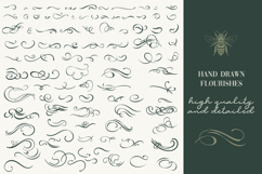 Calligraphic set of vintage flourishes Product Image 2