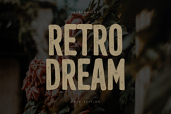 Retro Dream Vintage Distressed Sans Serif Font Product Image 1