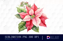 Watercolor Pink Poinsettia Clipart, Sublimation Art Product Image 1
