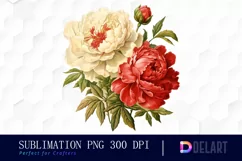Watercolor Red and White Peony Clipart, PNG Product Image 1