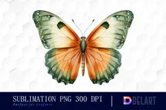 Watercolor Sage Green Butterfly Clipart, PNG Product Image 1