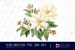 Watercolor White Poinsettia Christmas Clipart Image Product Image 1
