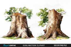 Tree Trunk Illustration PNG Clipart Product Image 1