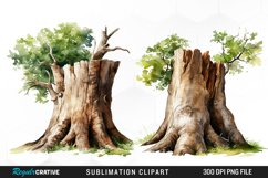 Tree Trunk Illustration PNG Clipart Product Image 1