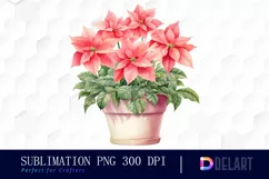 Watercolor Pink Poinsettia Clipart, Sublimation Art Product Image 1