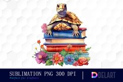 Turtle Sitting on Stack Clipart PNG Product Image 1