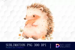 Watercolor Cute Hedgehog Clipart, Illustration PNG Product Image 1