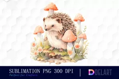 Watercolor Cute Hedgehog Clipart, Illustration PNG Product Image 1