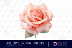 Watercolor Coral Rose Clipart, Sublimation Art Product Image 1