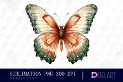 Watercolor Sage Green Butterfly Clipart, Sublimation Art Product Image 1
